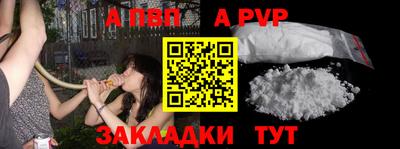 амф Донской