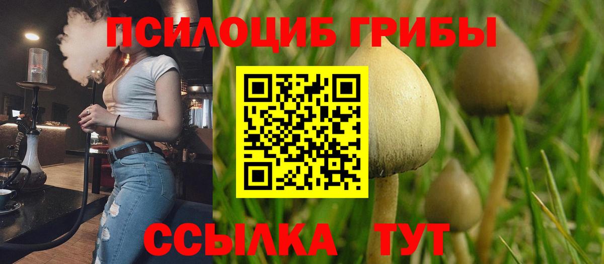Псилоцибиновые грибы MAGIC MUSHROOMS Михайловск